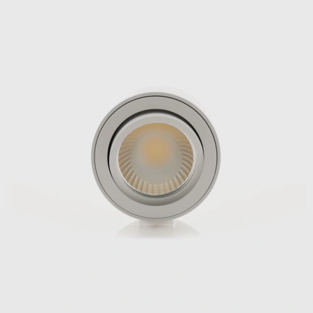 Surface downlight Nella Adjustable 12V 3CCT LED 7W WHT